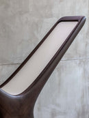 Staar Lamp
