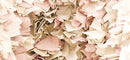 Details Trends - Details Online Shop