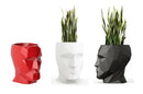 Adan Nano Planter Lacquered 13x17x18.5 cm