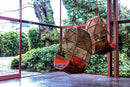 Tropicalia Cocoon w/ 5 cushions