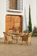 Alga armchair