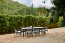 Havana dining armchair