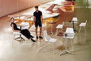 Faz Chair