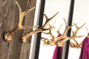 Hubertus wall hanger set of 2