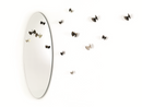 BICE mirror