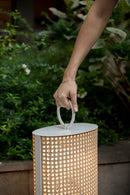 Clara medium and large