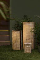 Clara medium and large