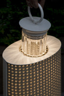 Clara medium and large