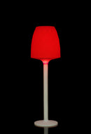 Vases floor lamp Ø56x180 - Details Online Shop