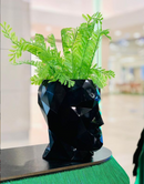 Indoor and Outdoor planter