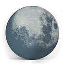 Details Trends - Details Online Shop