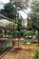 Tropicalia chair varnished base with arms