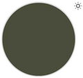 #color_olive green