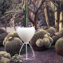 Pal Spaghetti Planter - Details Online Shop